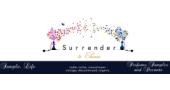 Surrender to Chance Promo Code