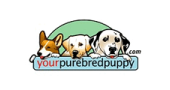 Your Purebred Puppy Promo Code