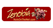 Zenobia Promo Code