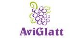 AviGlatt.com Promo Code
